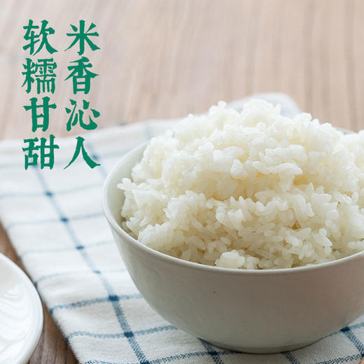 积分换购 | 袁隆平大米 碱地臻香5kg 新米珍珠米 蟹田米[福利品] 商品图3