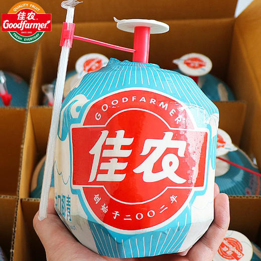 周三配送！长在树上的“矿泉水”，富含大量蛋白质、维生素及矿物质！低热量、低碳水化合物、无胆固醇、无脂肪等，营养丰厚！ 入口甘甜、汁水丰沛，细腻清爽！椰香浓郁、椰肉白嫩厚实，香软嫩滑！一箱9粒 商品图0