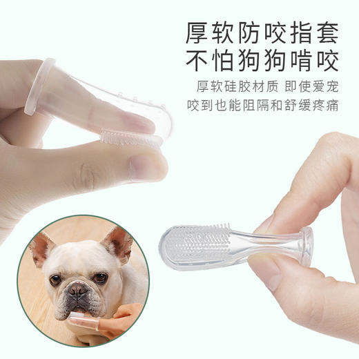 【宠物用品】雪貂留香宠物硅胶指套牙刷防口臭 商品图3