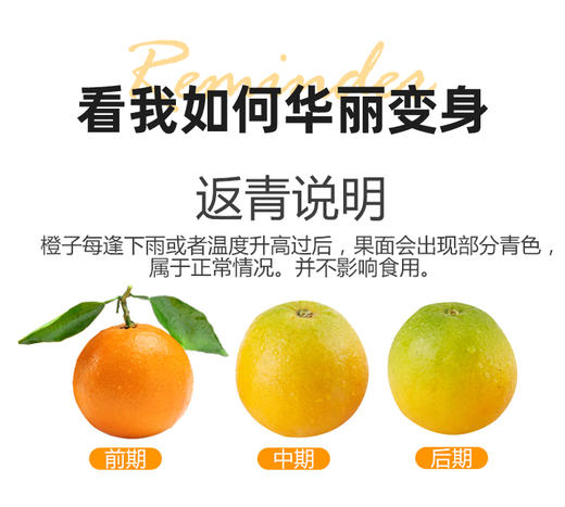 【湖北秭归-伦晚春橙 】果肉细腻，甜润多汁，花果同枝，14个月生长周期 3斤/5斤/9斤家庭装 商品图12