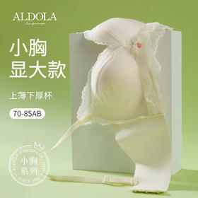 雅黛丽内衣女小胸聚拢刺绣蕾丝甜美上托有型减压文胸