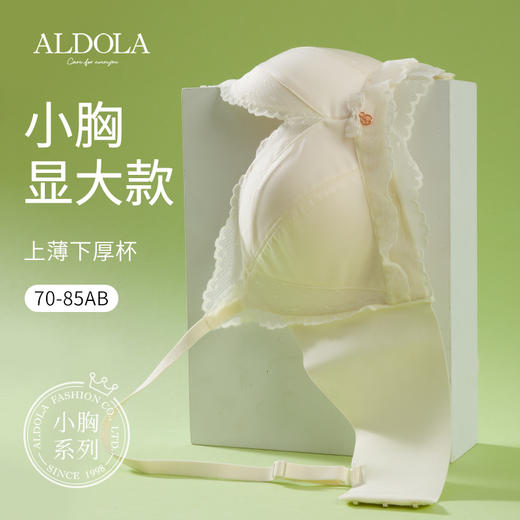 雅黛丽内衣女小胸聚拢刺绣蕾丝甜美上托有型减压文胸 商品图0