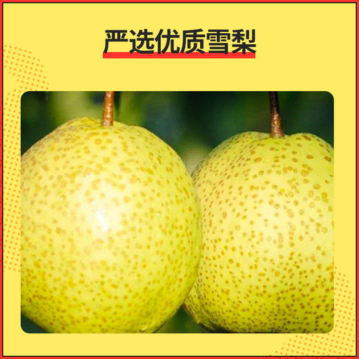 【杞里香梨膏糖250g】梨香浓郁 淡淡薄荷味 甜而不腻 出门可随身携带 每天吃几颗  解馋还润  商品图2