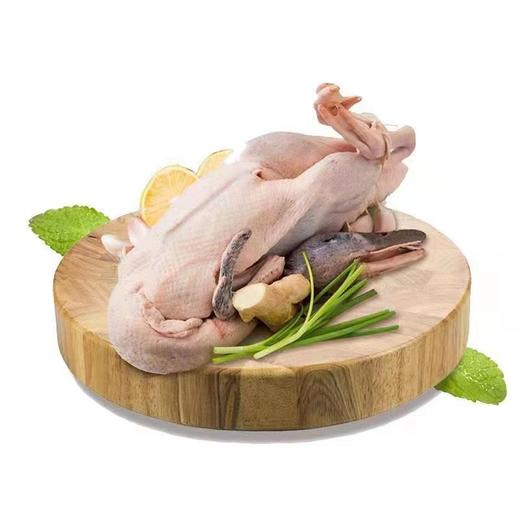 小仙鲜老麻鸭约1kg[S021] 商品图1