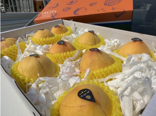 黄金毛桃礼盒（拼团） 商品图2