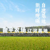 积分换购 | 袁隆平大米 碱地臻香5kg 新米珍珠米 蟹田米[福利品] 商品缩略图4