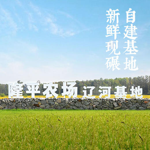 积分换购 | 袁隆平大米 碱地臻香5kg 新米珍珠米 蟹田米[福利品] 商品图4