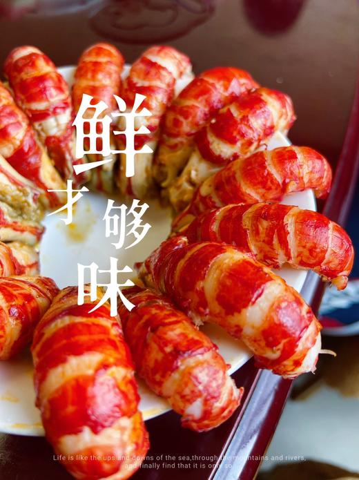 阳澄湖 清水小龙虾 商品图4