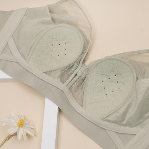 5F-Ahpeena爱比娜无钢圈文胸 商品图2