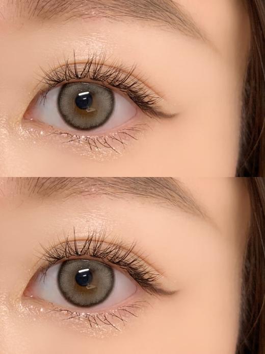 Papadox半年抛--肯豆 商品图4