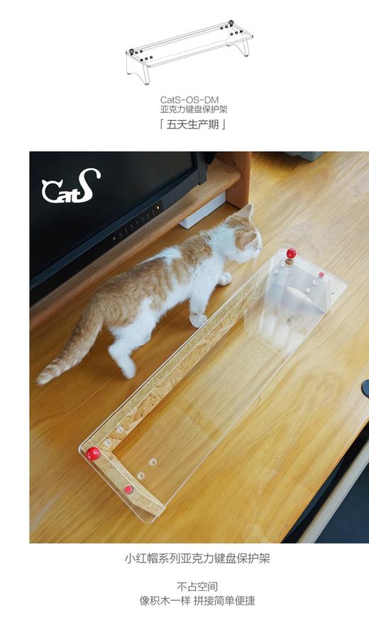 CatS小红帽系列 挡猫神器键盘罩 笔记本台式机透明防尘罩保护罩 商品图5