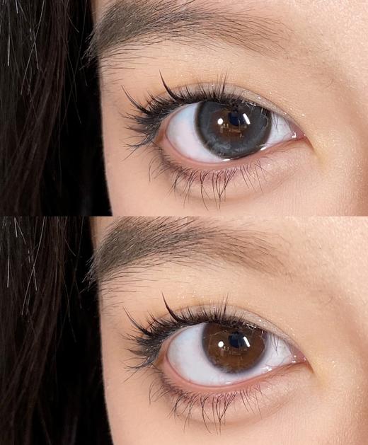 Papadox半年抛--乌漆嘛黑 商品图3