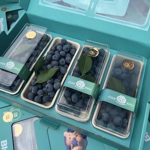 串枝蓝莓 商品图11