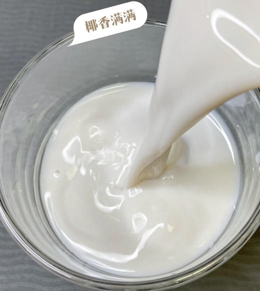 椰之乡清补凉 商品图2