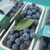 串枝蓝莓 商品缩略图9