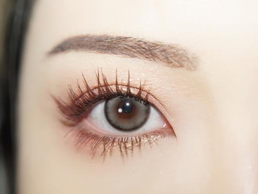 Papadox半年抛--肯豆 商品图1