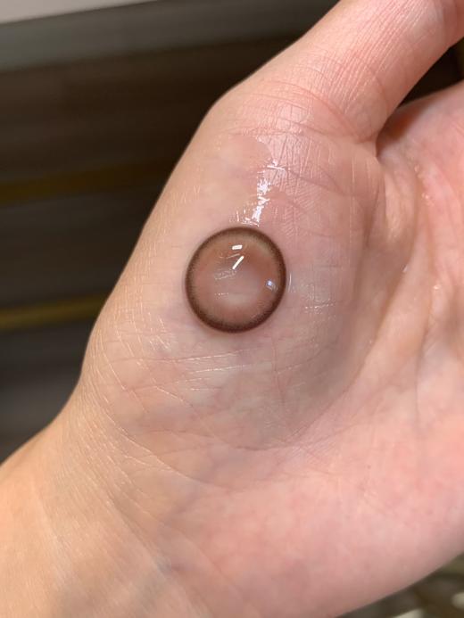 Papadox半年抛--绯闻女孩 商品图5