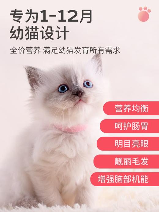 小安心 鲜肉羊奶幼猫粮 1kg（1-12月幼猫）添加冻干鸡肉 商品图4