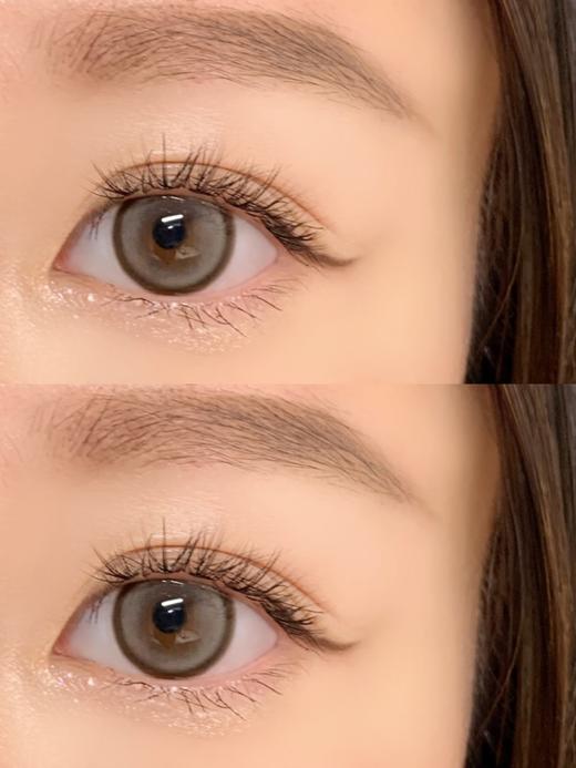 Papadox半年抛--白兰地 商品图1