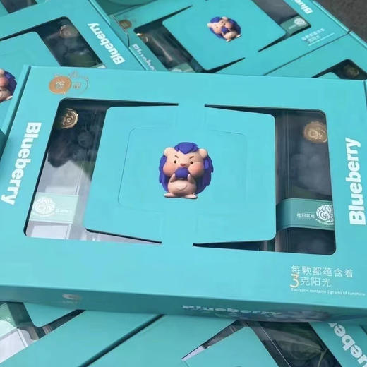 串枝蓝莓 商品图10