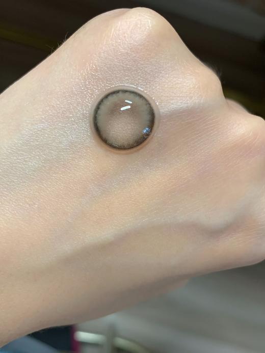 Papadox半年抛--肯豆 商品图5