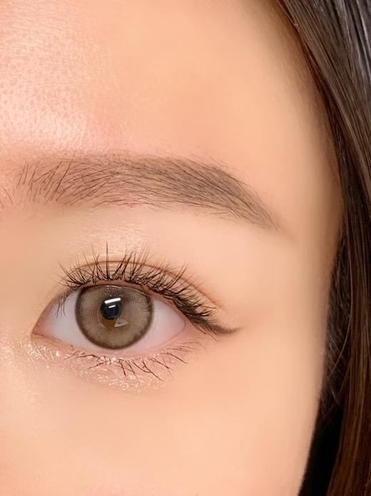 Papadox半年抛--卡戴珊 商品图1