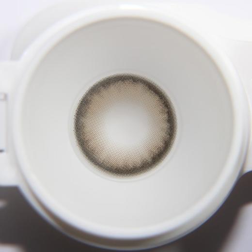 Papadox半年抛--肯豆 商品图2