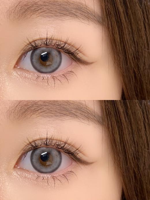 Papadox半年抛--伦敦记忆 商品图3