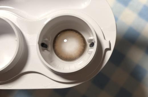 Papadox半年抛--卡戴珊 商品图10