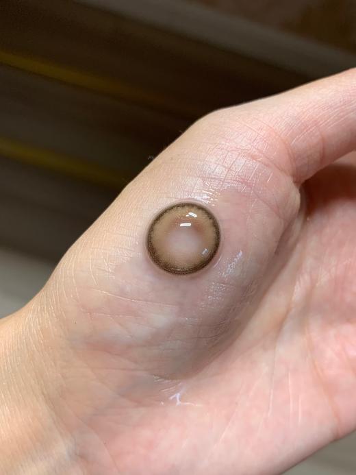 Papadox半年抛--卡戴珊 商品图2