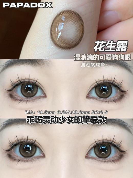 Papadox半年抛--花生露 商品图8