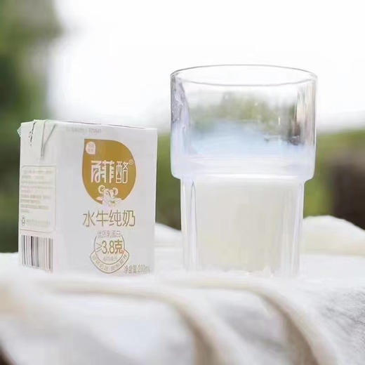 百菲酪水牛奶 商品图2