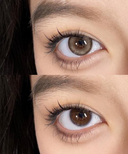 Papadox半年抛--卡戴珊 商品图4