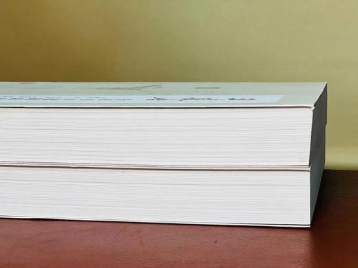 《王献唐金石书画题跋辑存》，张书学 李勇慧 撰，16开，平装，上下册，765页，华东师范大学出版社2022年一版一印。定价598，售价268元。
  商品图1