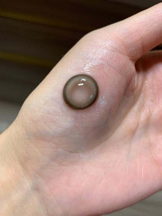 Papadox半年抛--白兰地 商品图3