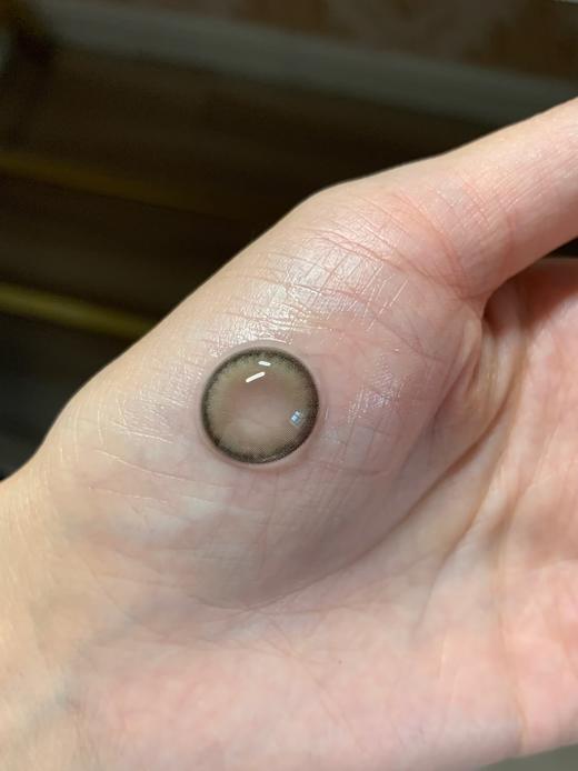 Papadox半年抛--肯豆 商品图6