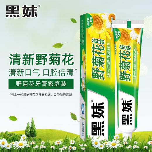 【自信笑容，让宠齿开始！】黑妹野菊花牙膏105g/200g，清新舒适，呵护每颗牙齿。挤压式设计，轻松携带，时刻保持迷人微笑！ 商品图0