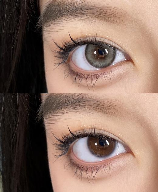 Papadox半年抛--肯豆 商品图7