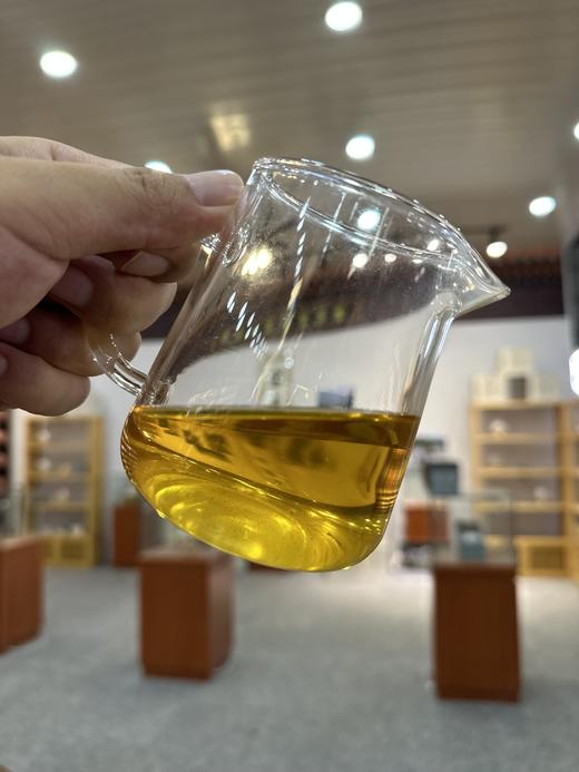 【最后2饼】【贡茶困鹿山】2016年头春头采困鹿山古树茶；李应芝私藏茶-宣哥给大家争取来的福利 商品图2