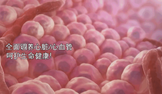 诺贝尔奖认证的"心血管守护神"！每天1粒，护心脏、通血管、助长寿~