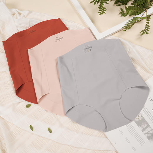 5F-Ahpeena爱比娜内裤 商品图0