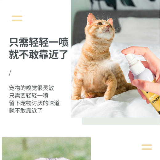 宝莱美露禁区喷剂120ml 防宠物上床乱尿驱赶喷雾剂 商品图2