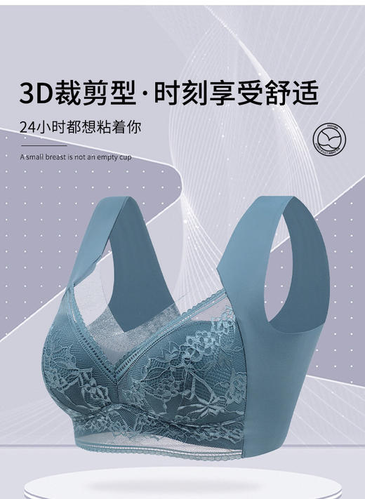 夏季蕾丝美背内衣胸罩,调整型无钢圈一体式舒适文胸GR-9903-1 商品图2