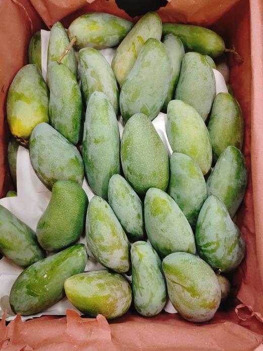 桂七芒5斤 商品图0