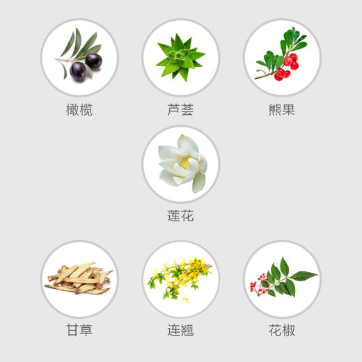 今韵 保湿补水莲花清韵乳液 30ml 商品图1