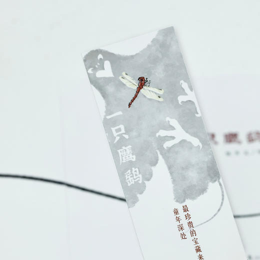 一只鹰鹞 《父母爱情》演员、中央戏剧学院表演教师刘天池真挚推荐，一本动起来的的中国原创童谣 商品图8