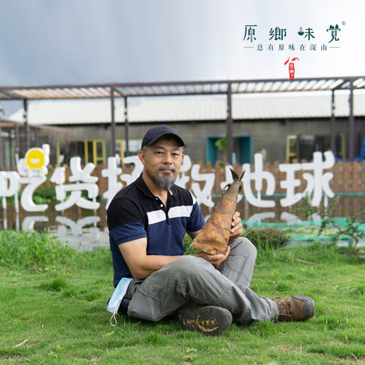 【周二周五发货】生态甜龙笋（基地直发-顺丰包邮）| 多种规格，来自广州市从化区，生产者：黄新【合作生产，公平贸易】 商品图8