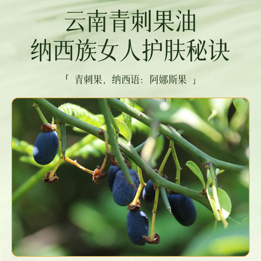 【买2送1】青刺果精油皂，云南青刺果精华，温和清洁 100g/盒 商品图1