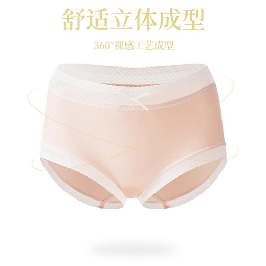 【服饰鞋包】新款紫杉醇聚乳酸抑菌内裤女 商品图4