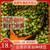 【吉顺号食品】云南 农家小绿豆 五谷杂粮 绿豆粥小绿豆袋装500g绿豆粥 商品缩略图0